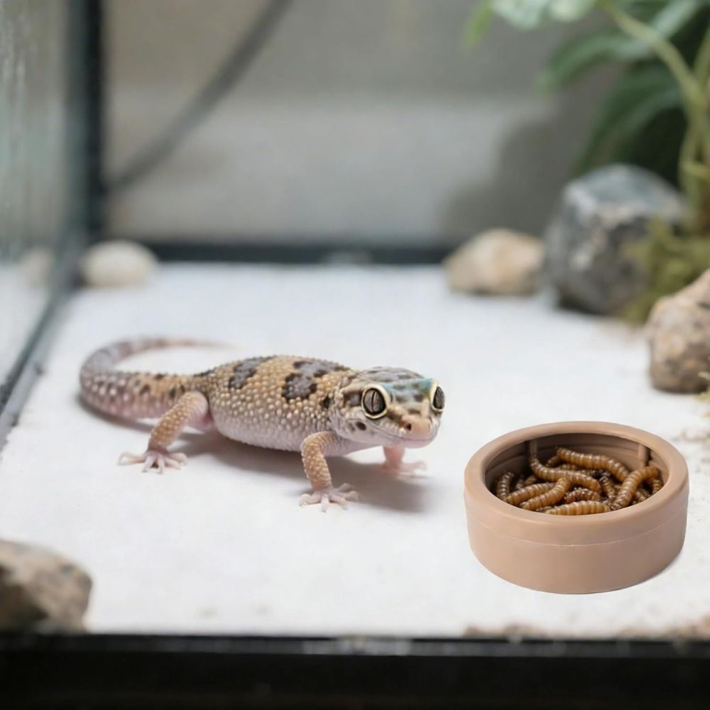 Portable Escape-Proof Reptile  - đánh giá và giá Water Dish Reptile