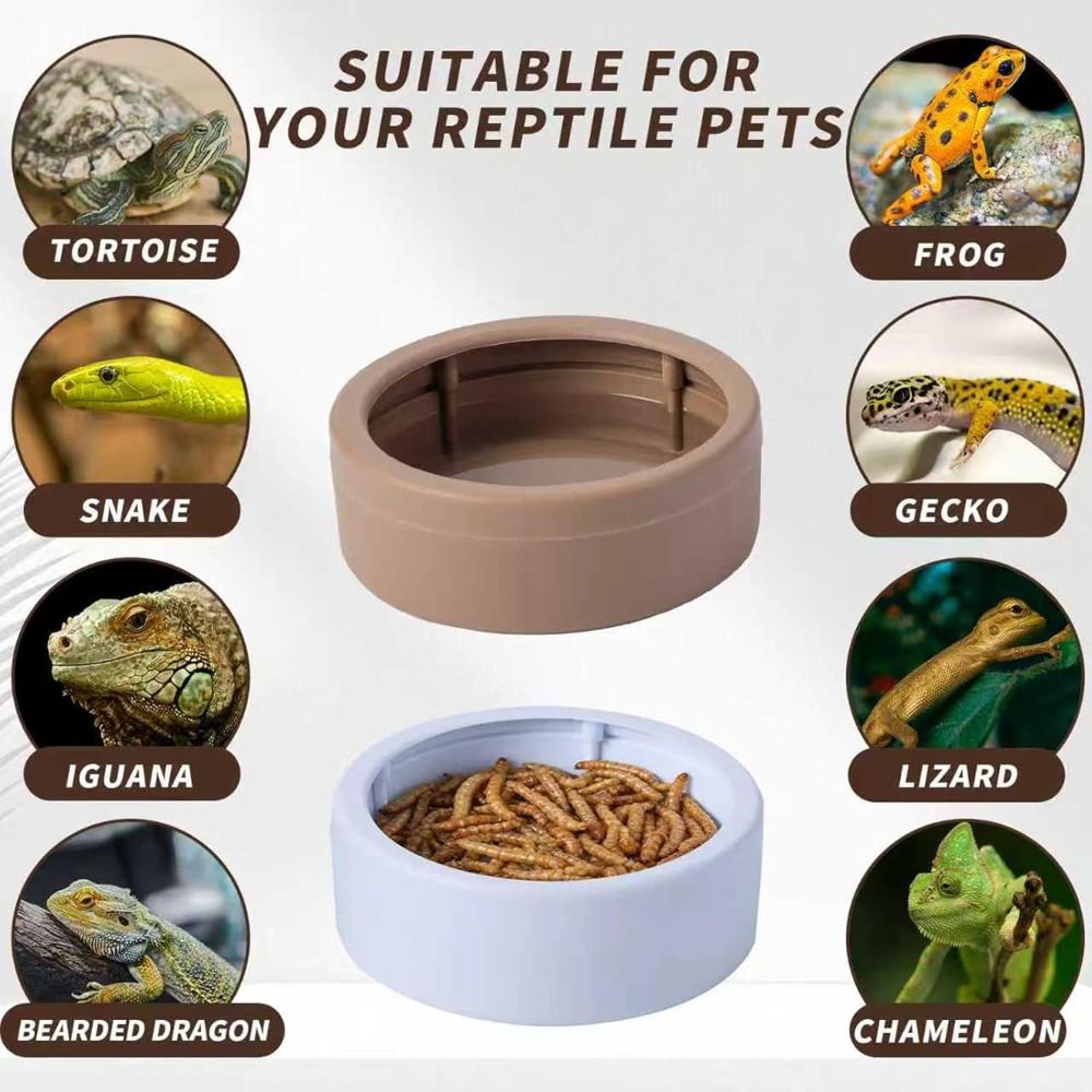 Portable Escape-Proof Reptile  - đánh giá và giá Water Dish Reptile