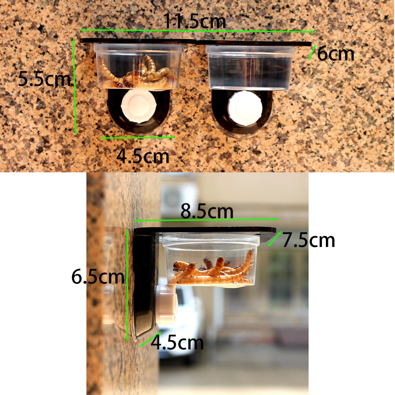 Reptile Tank Accessories Insec - đánh giá và giá Water Dish Reptile