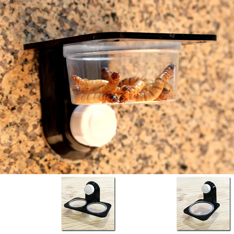 Reptile Tank Accessories Insec - đánh giá và giá Water Dish Reptile