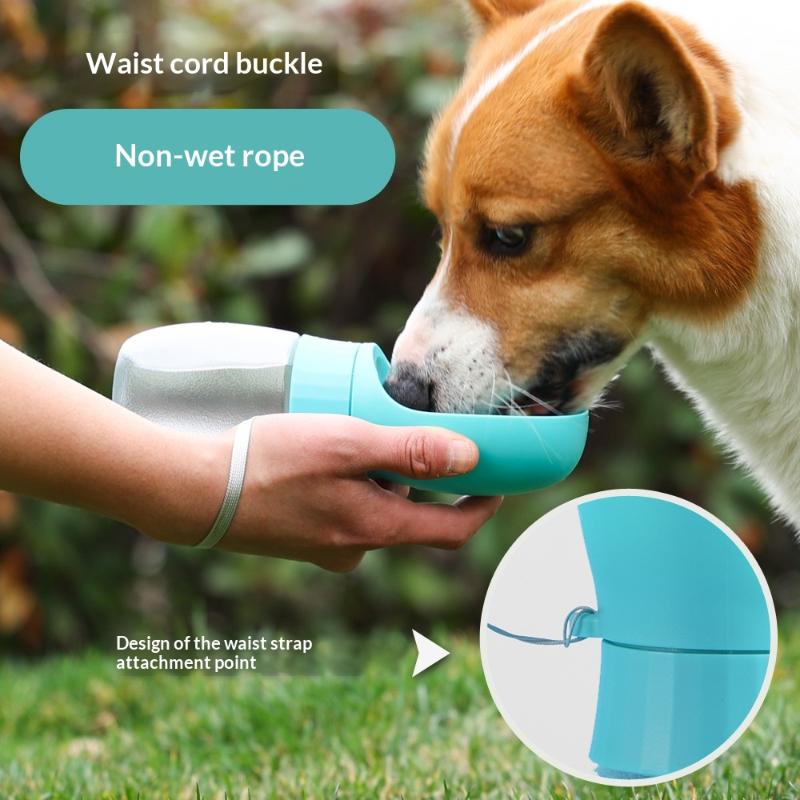 Big Dog Water Bottle Portable  - đánh giá và giá Royal Canin Food Medium