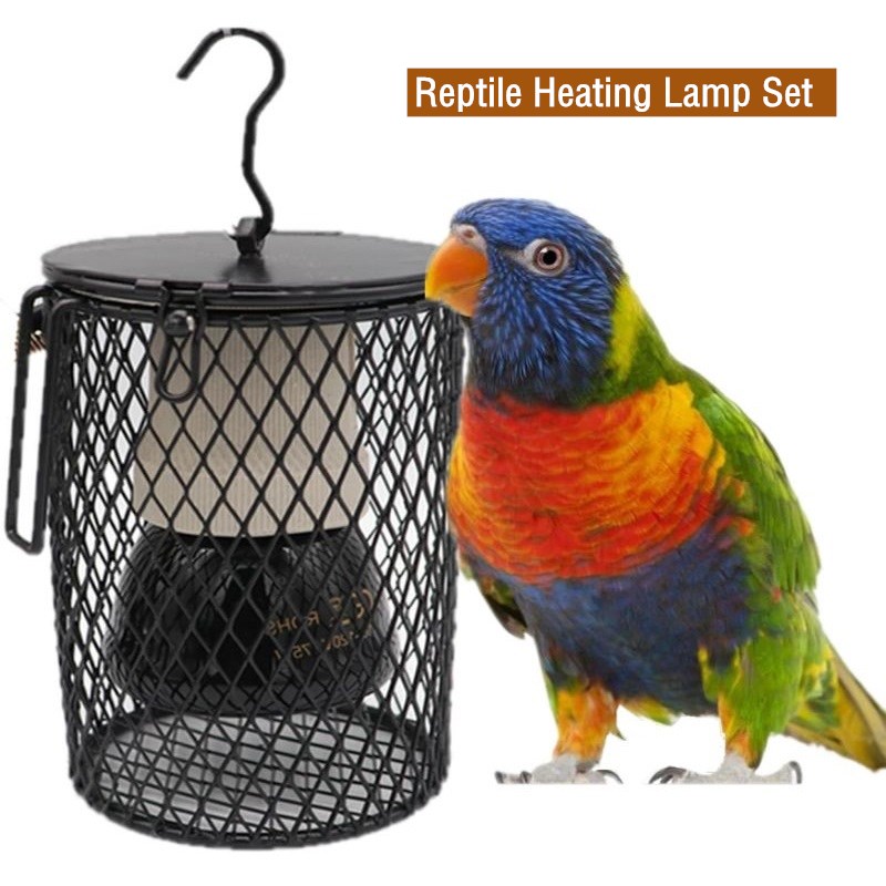 Reptile Heating Lamp for Turtl - đánh giá và giá Ceramic Heat Emitter