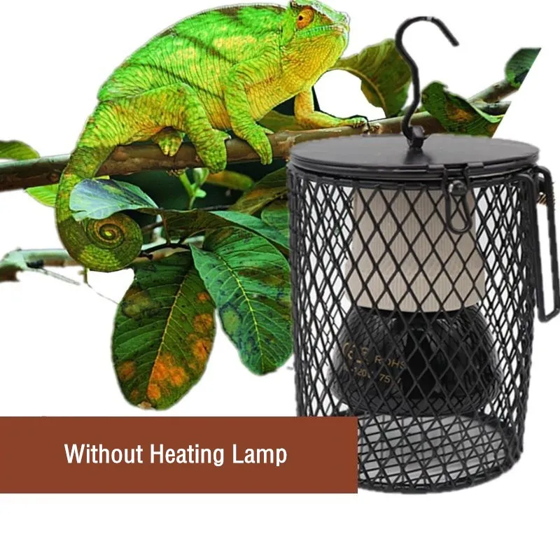 Reptile Heating Lamp for Turtl - đánh giá và giá Ceramic Heat Emitter