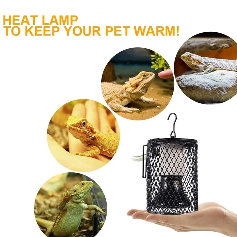 Reptile Heating Lamp for Turtl - đánh giá và giá Ceramic Heat Emitter