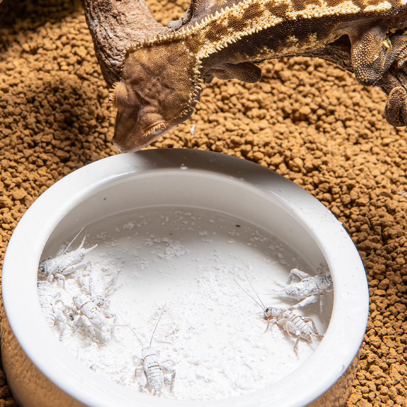 SuperRep Reptile Calcium Pro-V - đánh giá và giá Vitamin D3 Reptile