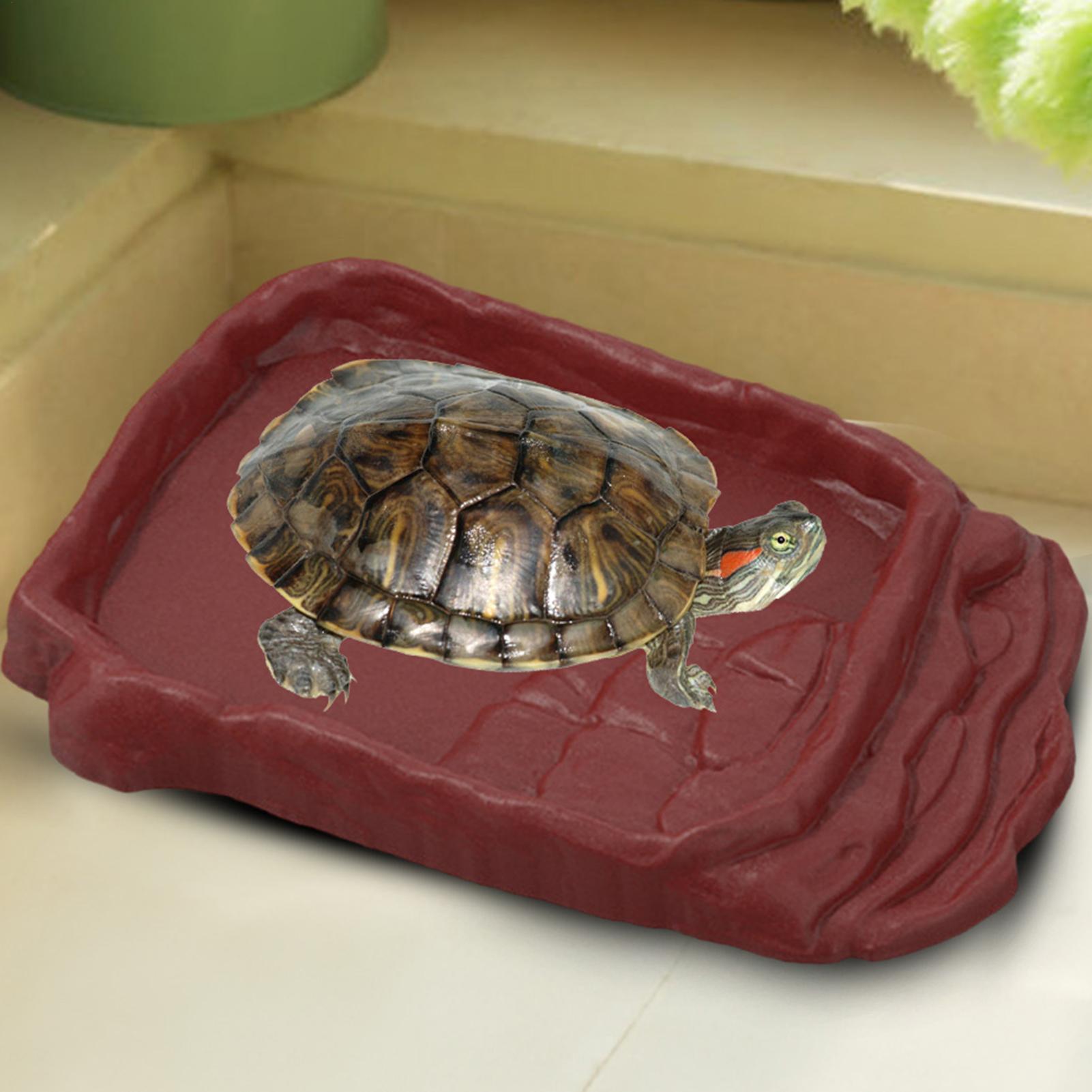 Anti-Slip Ladders Reptile Bowl - đánh giá và giá Water Dish Reptile