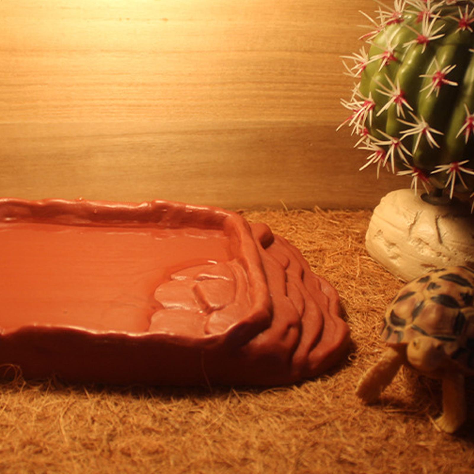 Anti-Slip Ladders Reptile Bowl - đánh giá và giá Water Dish Reptile